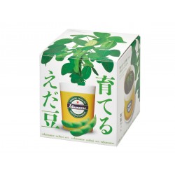 SEISHIN 自助種豆 Edamame盆栽 - 枝豆