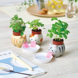 SEISHIN Peropon 貓家族舌頭系列 - 薩巴特拉 / 羅勒