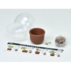 SEISHIN 扭蛋小盆栽系列 - 盆景