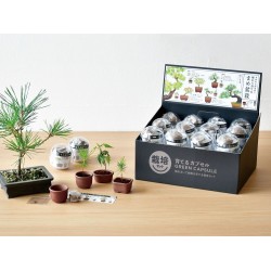 SEISHIN 扭蛋小盆栽系列 - 盆景