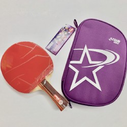 DHS 紅雙喜橫拍雙面反胶乒乓球拍 No.R2002