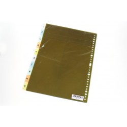 Data Bank VID-10 膠質索引 (1-10)